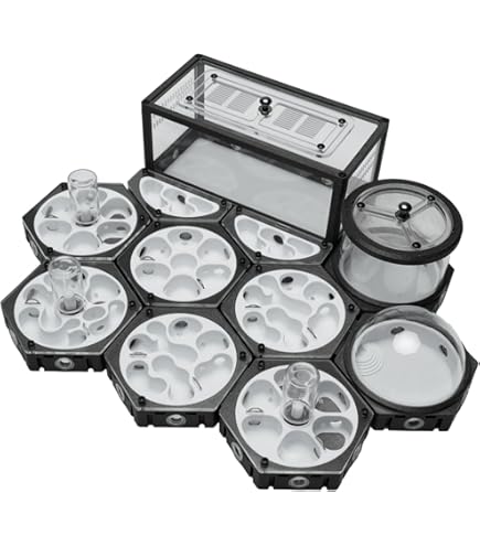 Amazon | EnergyPower アリ飼育キット 石膏製巣箱 大型 アリ活動